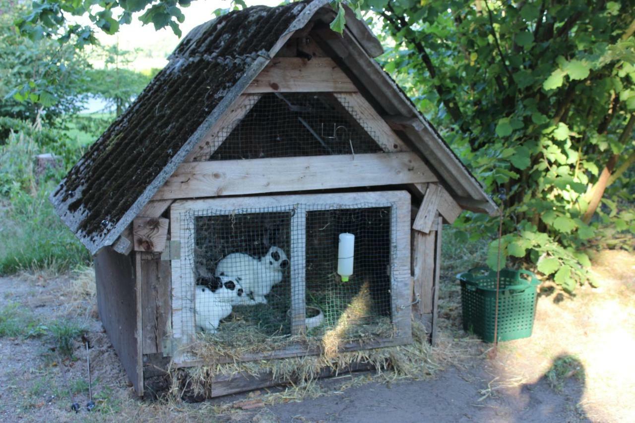 Sannhoff, Ferienwohnung Schneverdingen Exterior foto